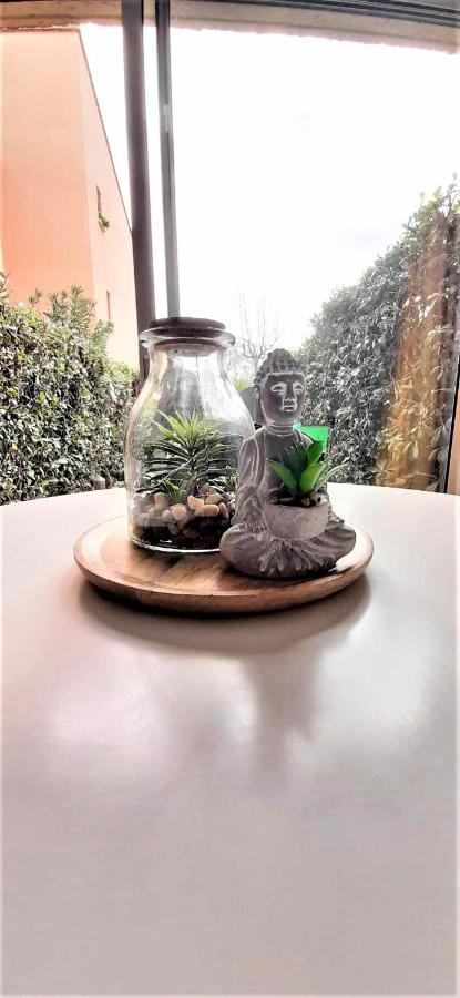 Appartement Cosy A Deux Pas Du Port 생시프리앙 외부 사진